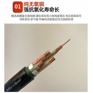 電纜YJV5*10
